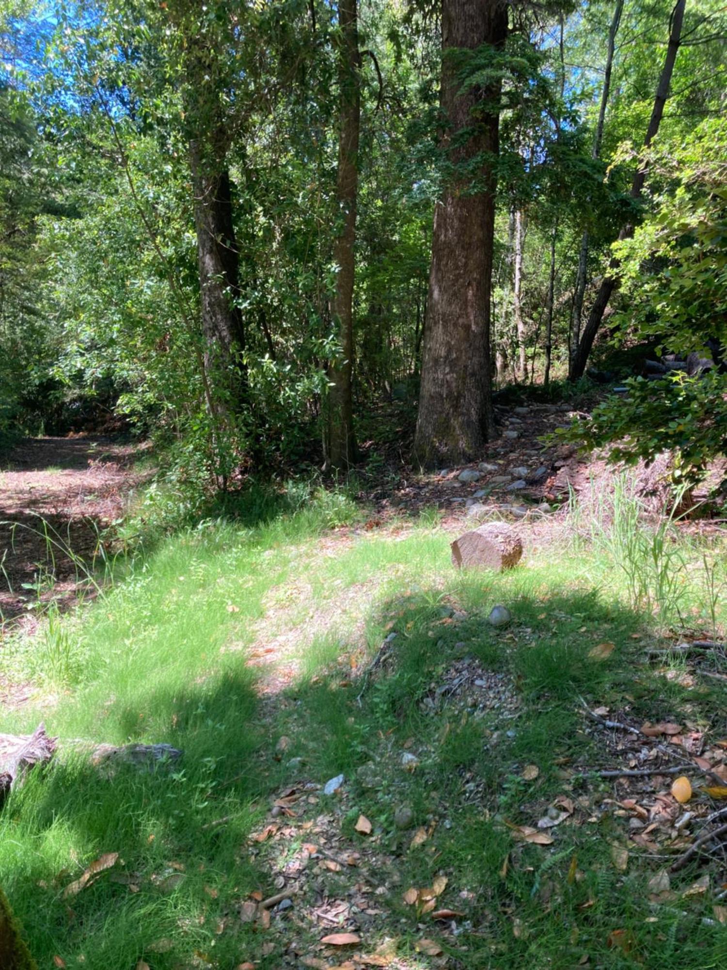 Los Arrayanes De Huife Villa Termas de Huife Bagian luar foto